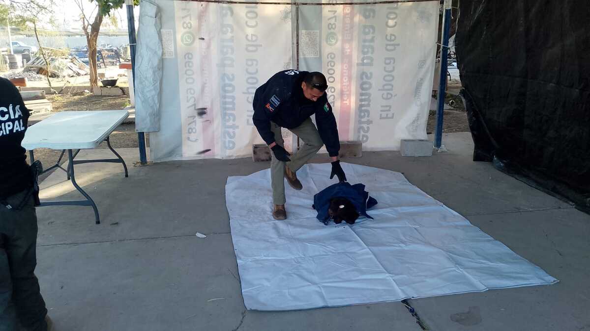 Elementos de la Unidad Canina la rescataron. | Especial