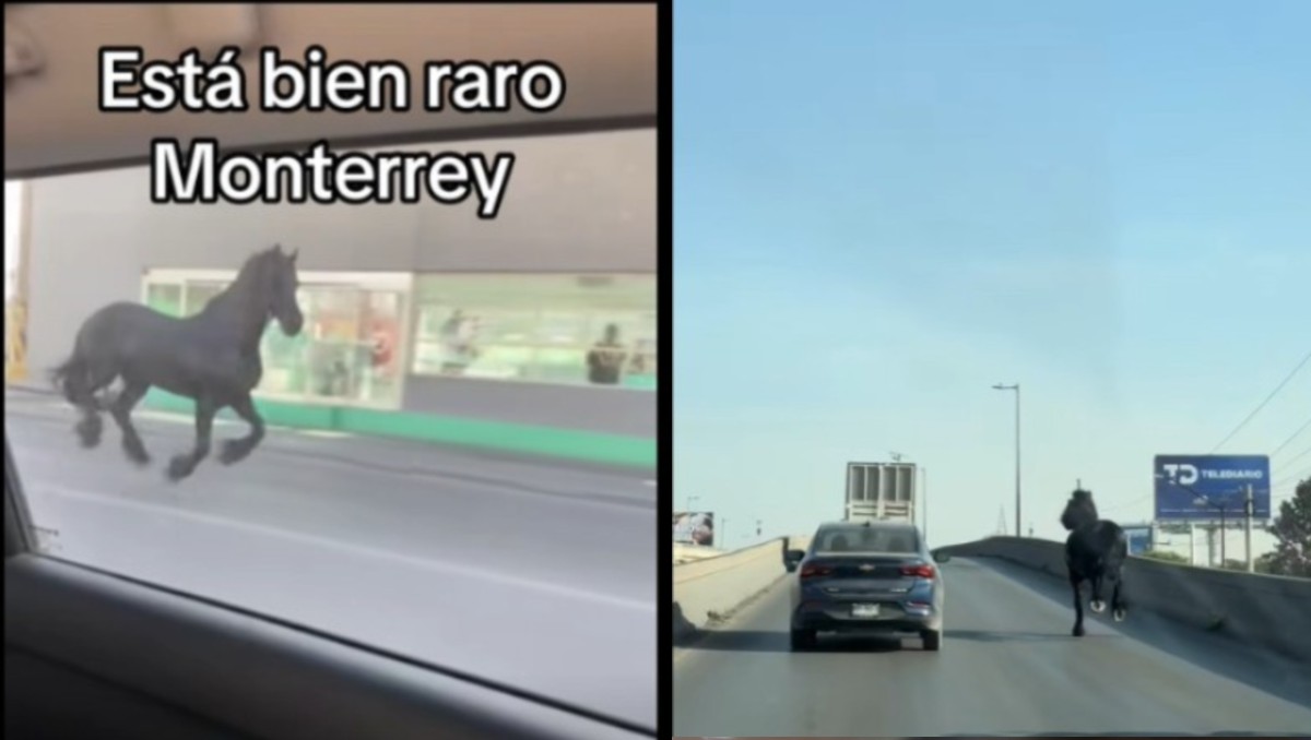 Las imágenes rápidamente se viralizaron en las redes sociales. Especial