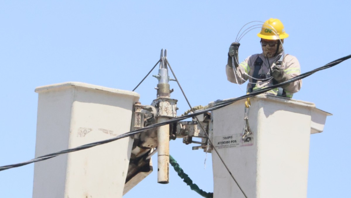 El anuncio se hizo este viernes 30 de enero por la CFE. | Verónica Rivera