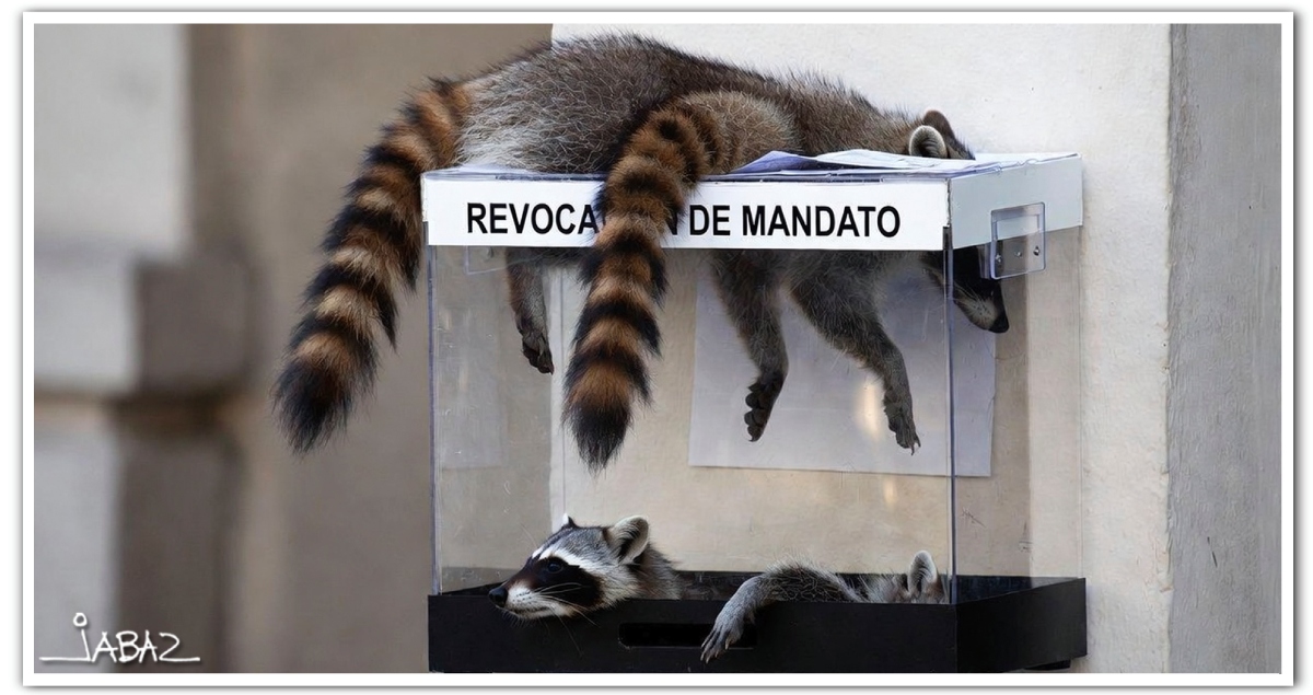 Cruda salomónica oaxaqueña