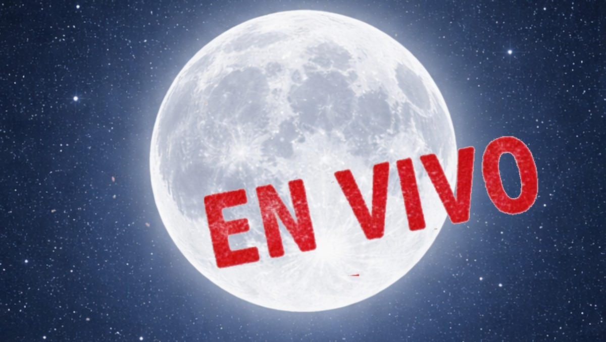 Sigue a la luna llena de febrero en vivo | IA DISCOVER