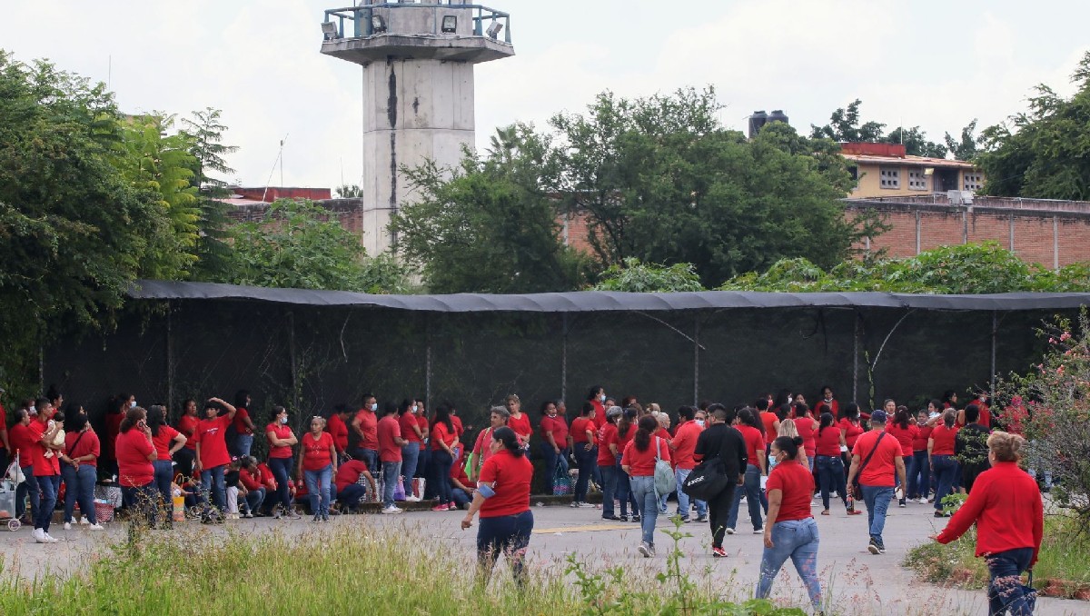 El registro se implementará a nivel federal y estatal. | Imagen ilustrativa