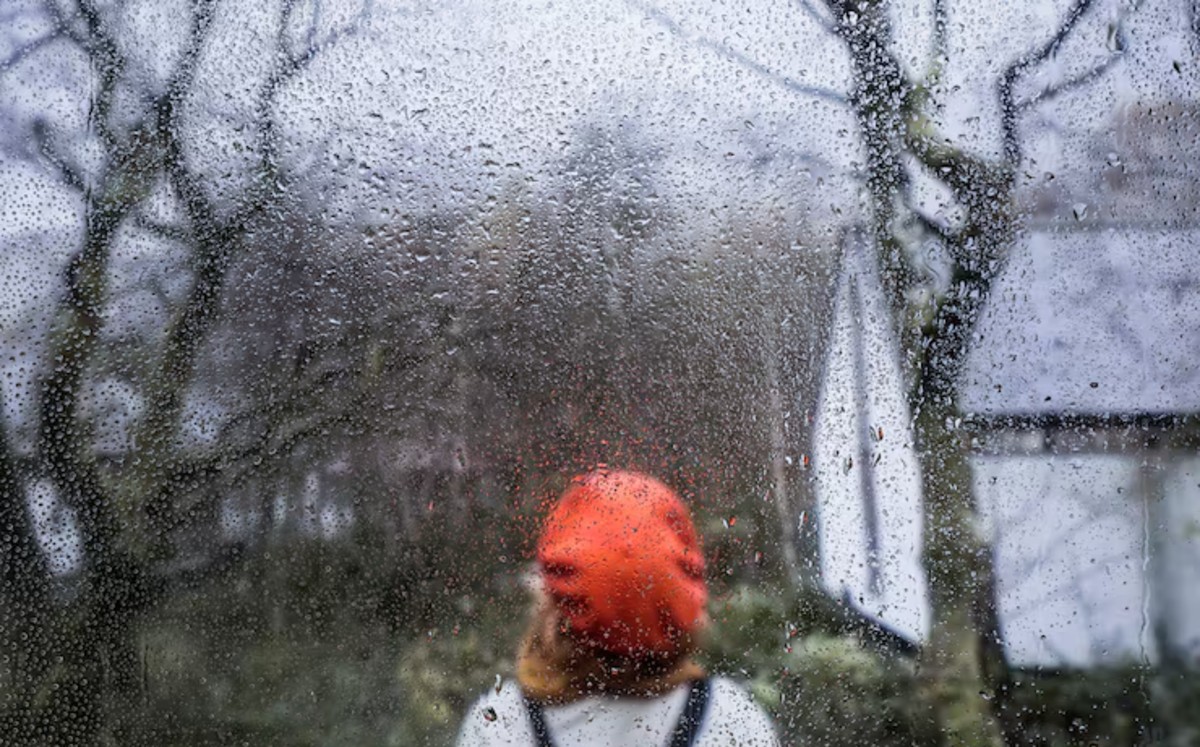 Frío con heladas, lluvias aisladas y rachas de viento marcan el clima hoy en Tamaulipas.| ChatGPT