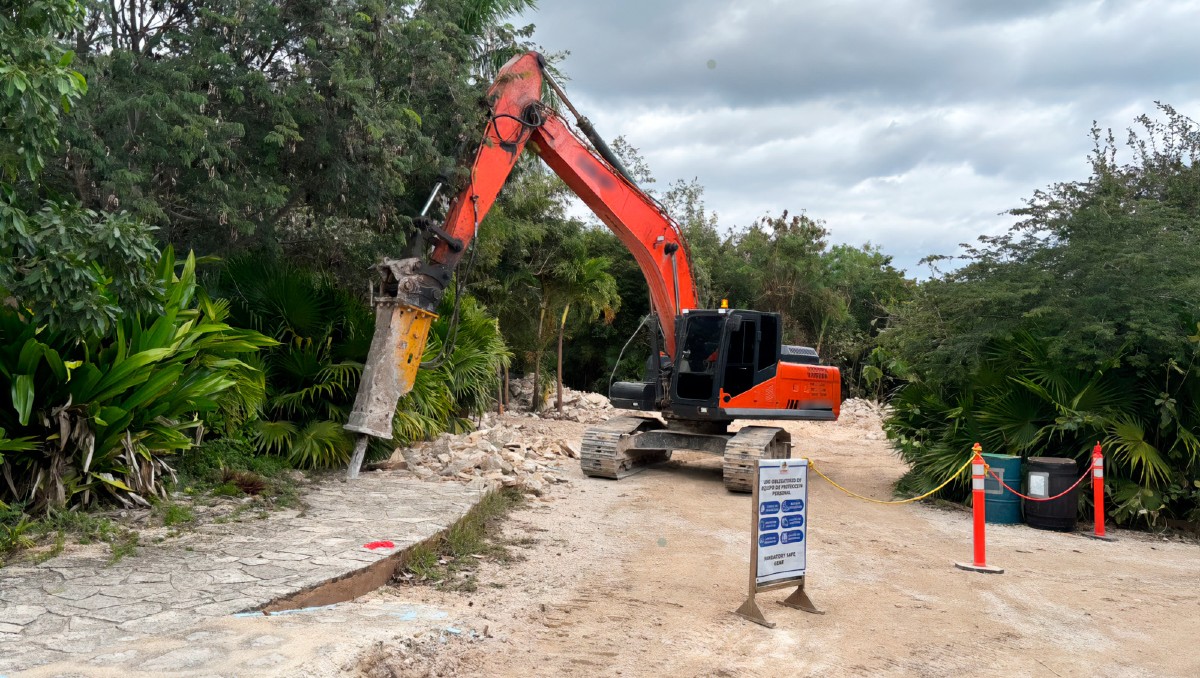 Presuntamente, la empresa realizó tala ilegal de selva y manglar. | Gobierno de México
