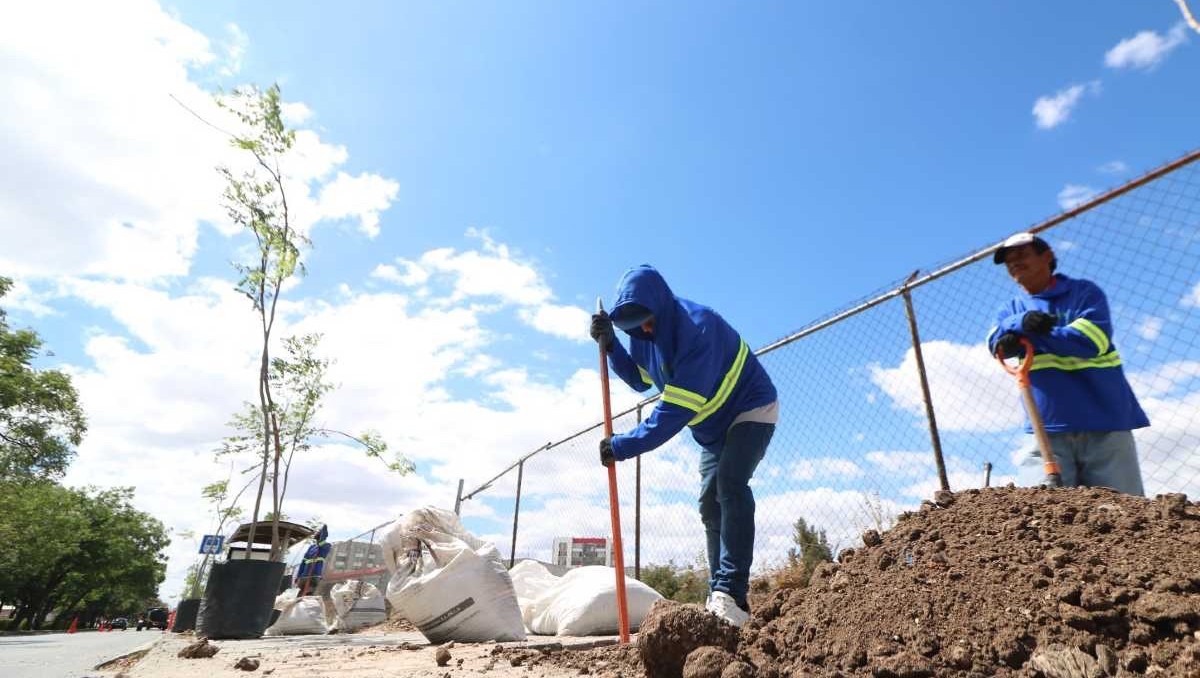 Colectivo Luz y Justicia reporta el hallazgo de 25 cuerpos arrojados en tubos de pozos profundos en Franco Tavera.