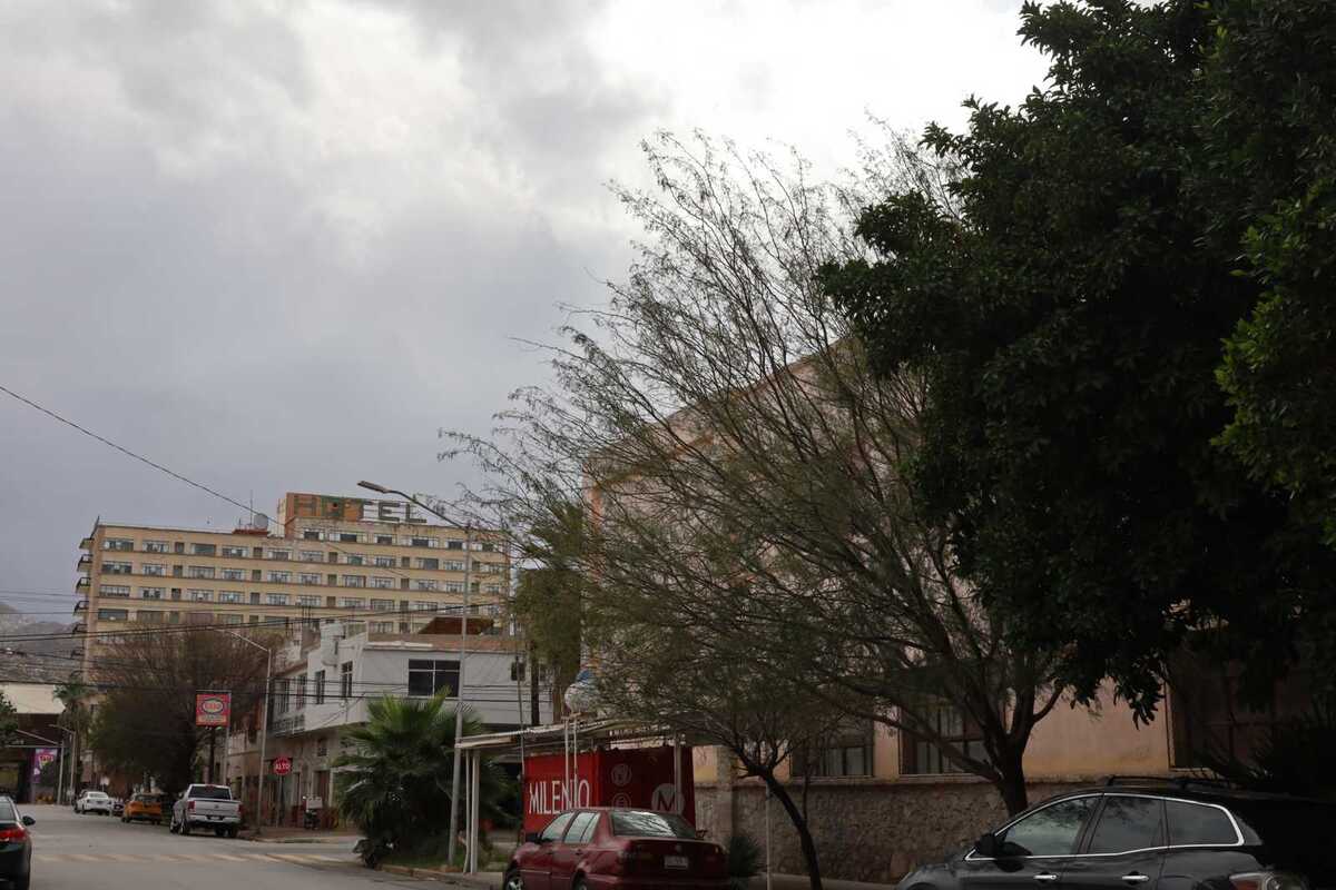 Te decimos cuál es el pronóstico del tiempo para Torreón, Saltillo, Coahuila y Durango este 2 de febrero por condición climática.| Verónica Rivera.