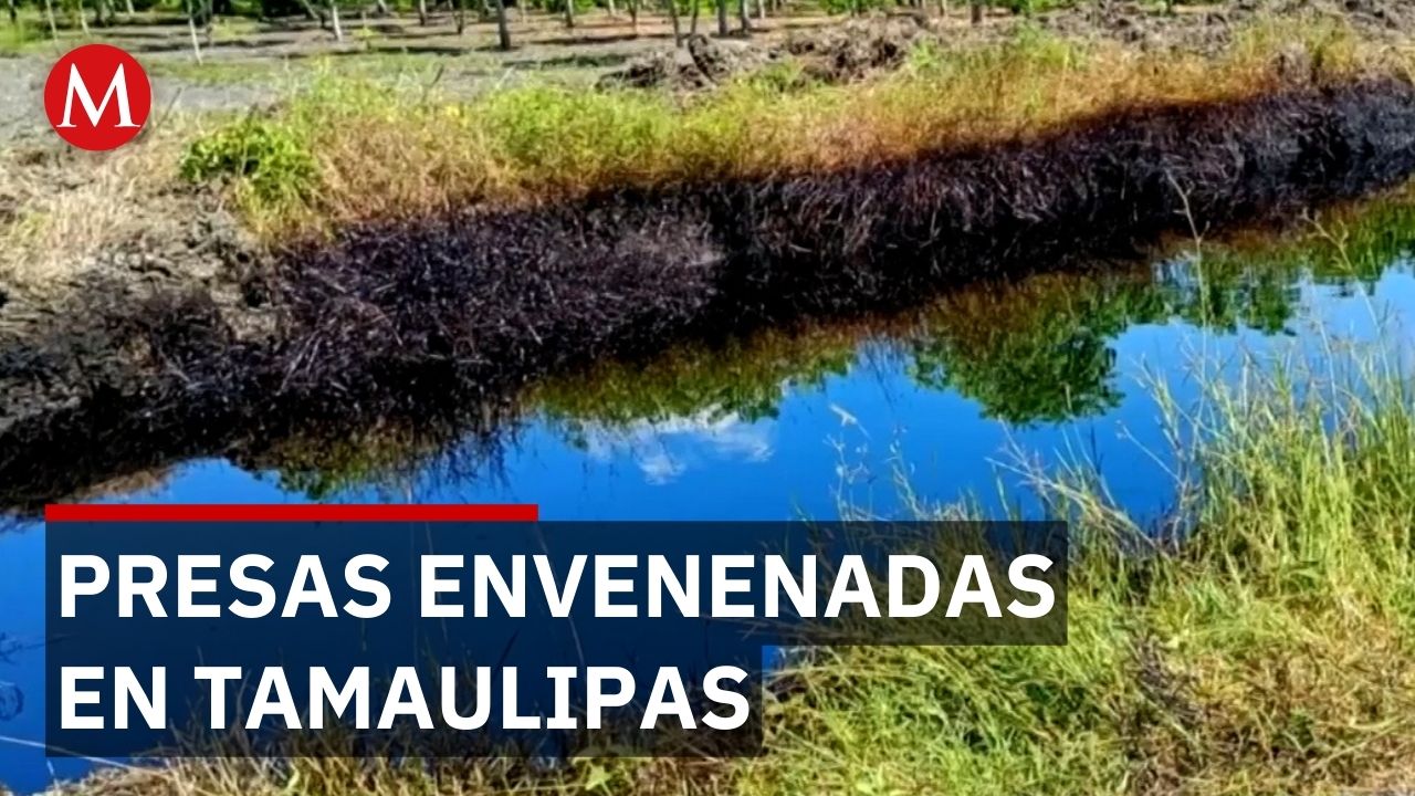 Denuncian contaminación de tres presas en ejido Herrera de Altamira, Tamaulipas