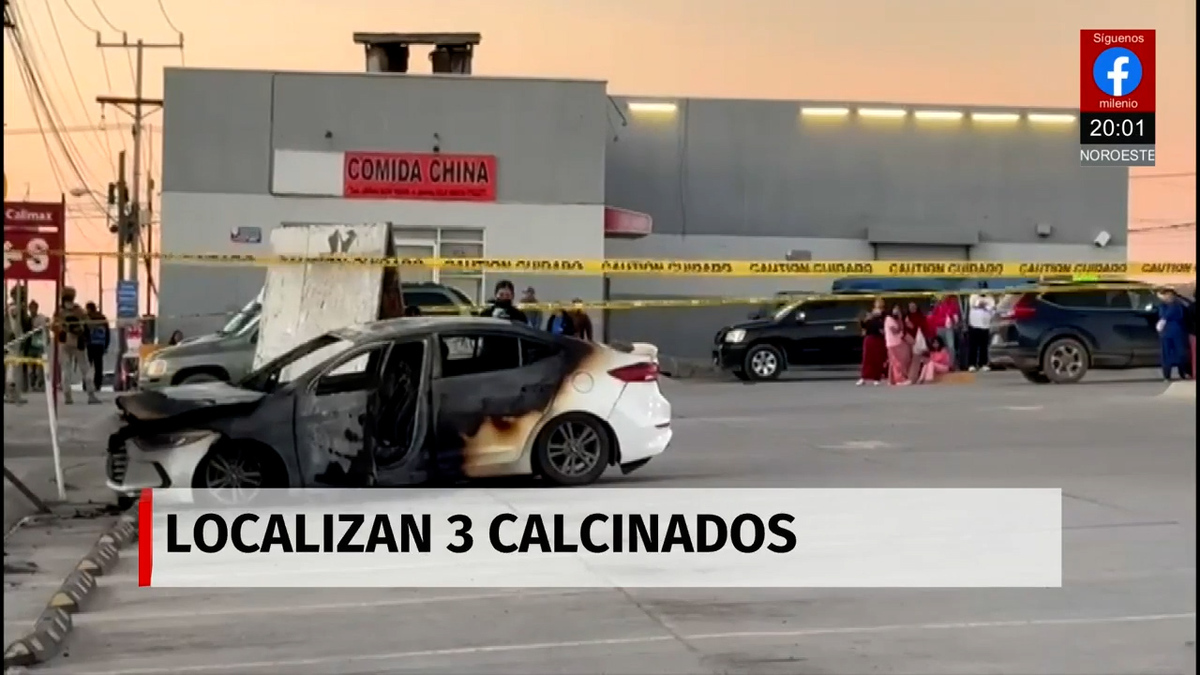 Milenio Noticias, con Fernando Robles, 31 de enero de 2026