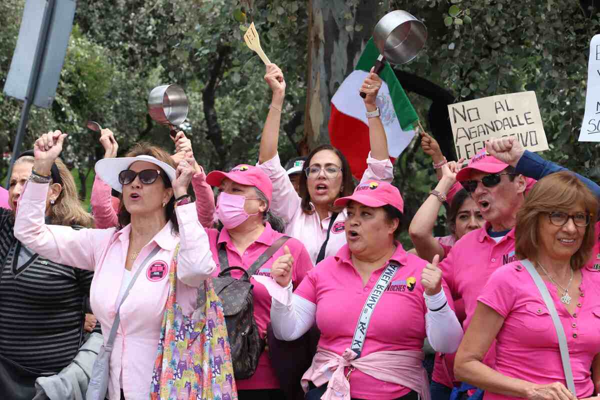 El movimiento llamado Marea Rosa ahora se le conoce como Somos México  (Jesús Quintanar)