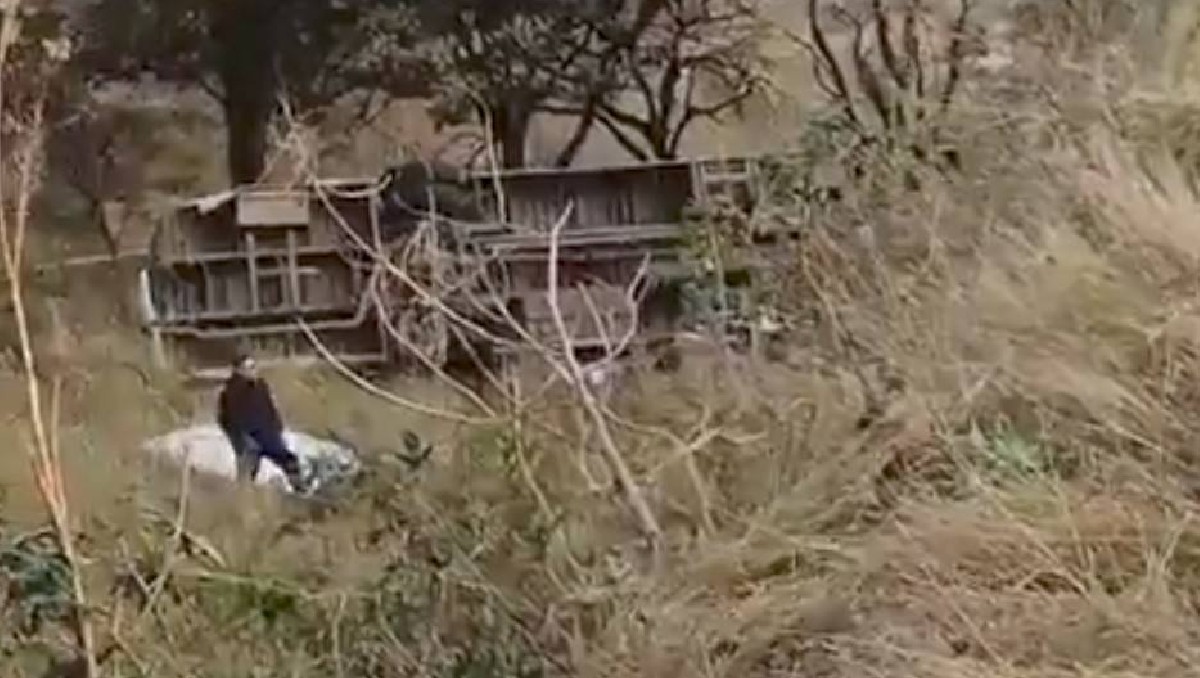 El accidente ocurrió sobre carretera federal 37 tramo la piedad - Manuel doblado a la altura de la comunidad el ídolo. | Redes Sociales