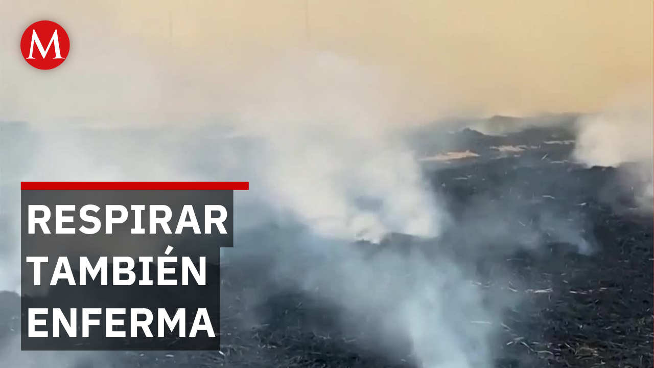 Conexión entre polución del aire y riesgo de enfermedades neuronales