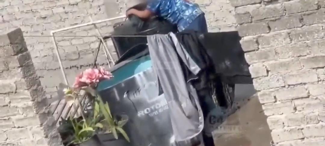 La violencia animal es un acto que puede ser denunciado por la propia ciudadanía.