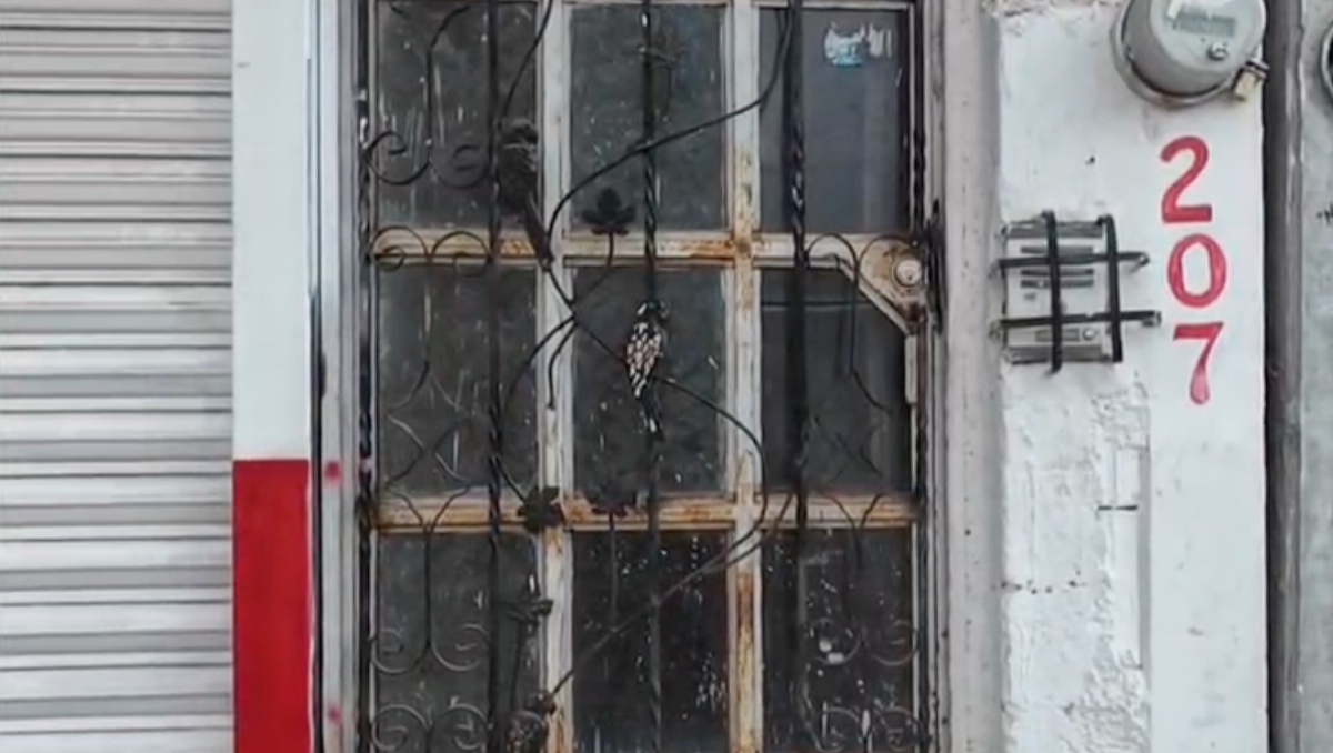 Policía vial es vinculado a proceso en Aguascalientes. | Especial