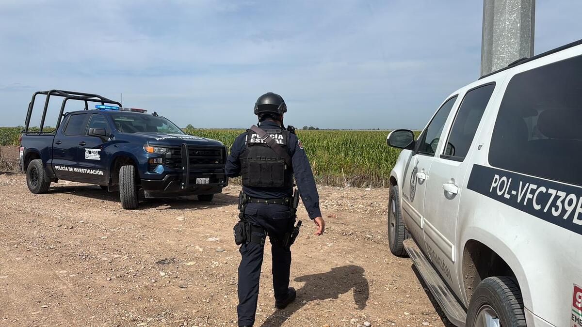 Sinaloa cerró enero de 2026 con 106 homicidios y ocho feminicidios. | Especial