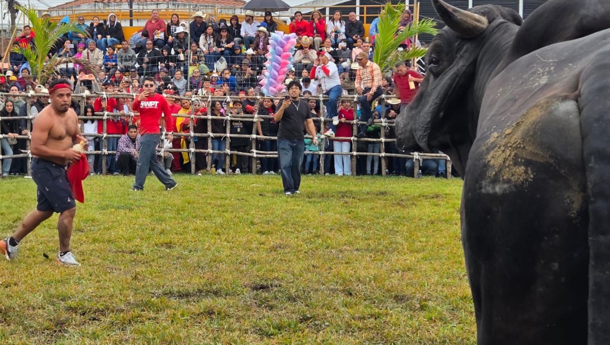 Suelta de toros deja media docena de golpeados en Veracruz. | Especial