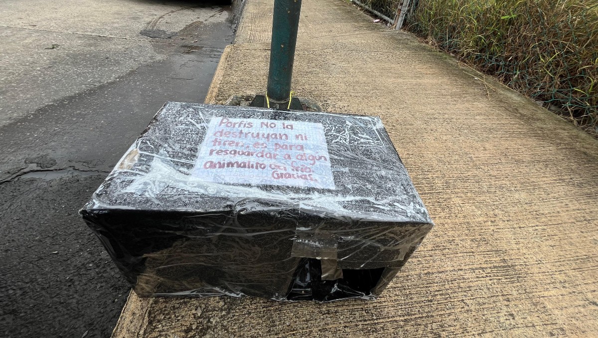 Refugio de cartón en Tampico para proteger a animales. (Yazmín Sánchez)