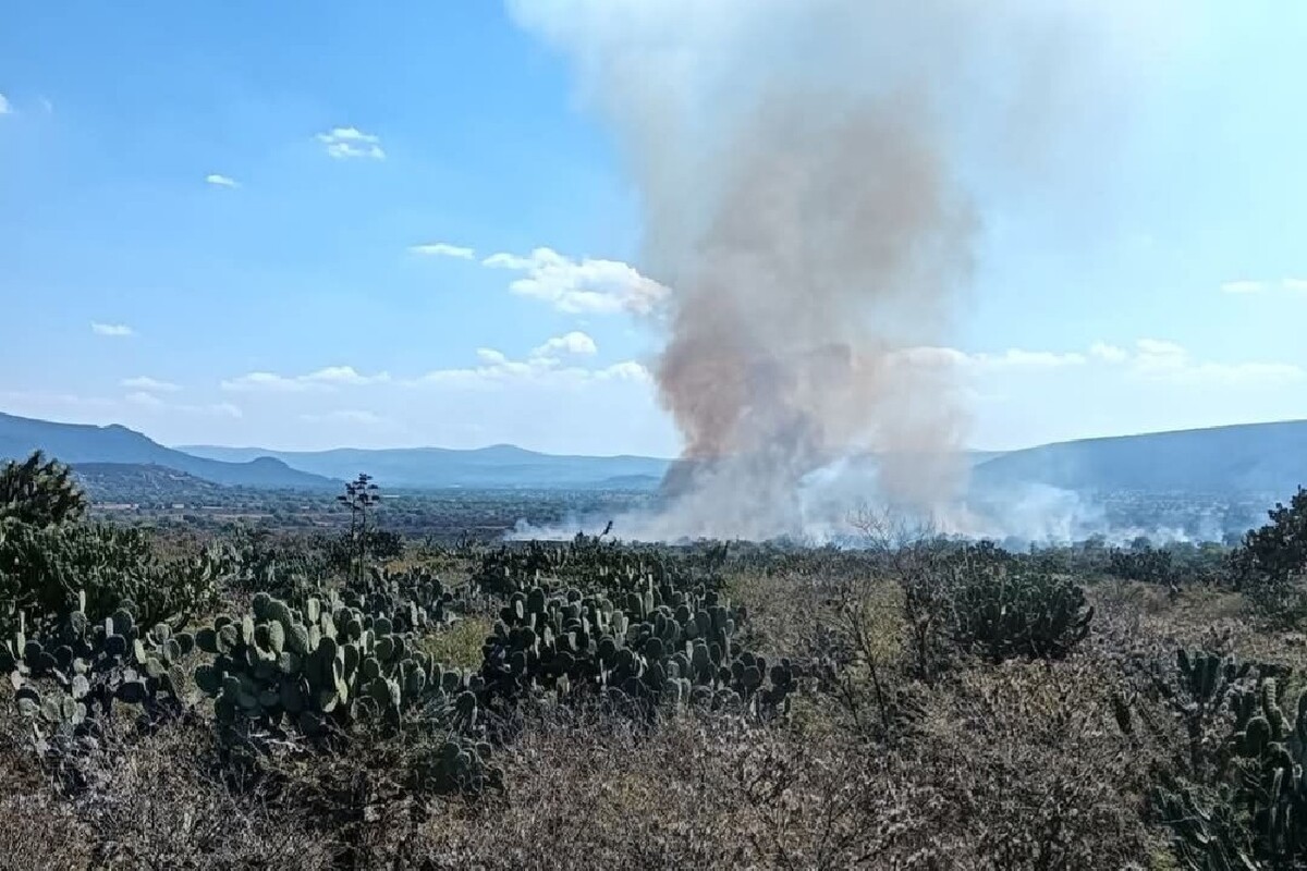 Incendio por quema de pasto cobra una vida en Ajacuba, Hidalgo