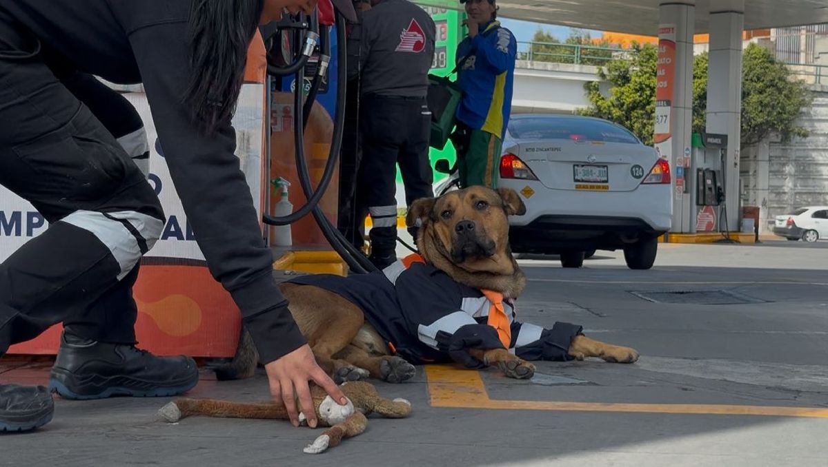 'Solovino' se ganó el cariño de sus compañeros y clientes de la gasolinería en 'El Jet'. Foto: (Mario C. Rodríguez)