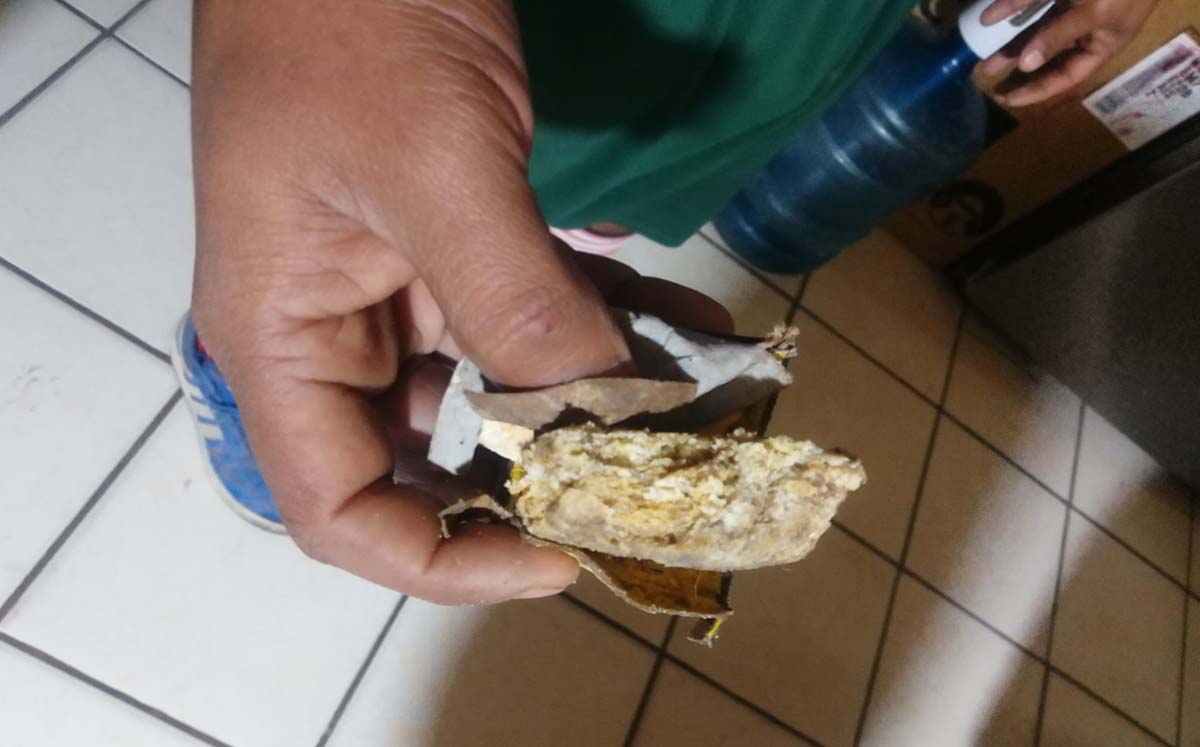 Uno de los vecinos localizó un pedazo masticado de cebo con veneno. | Foto: Especial