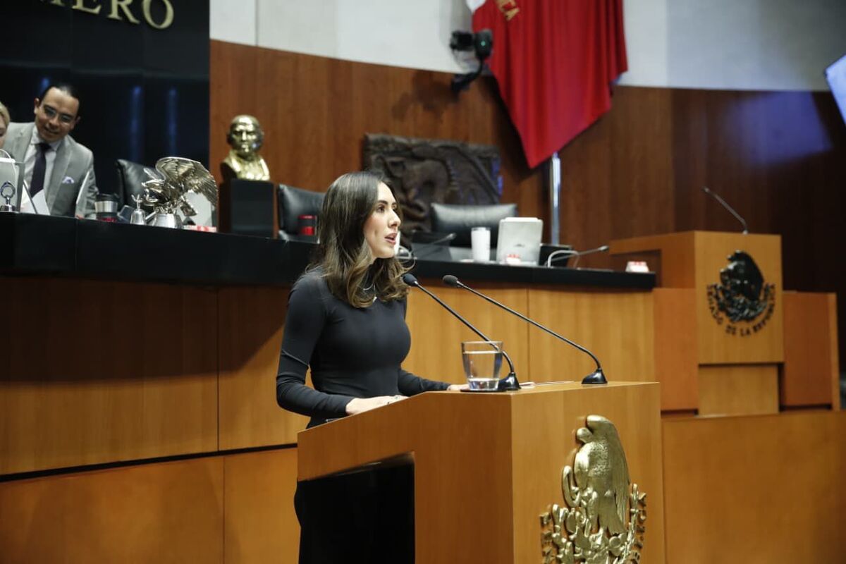 Cecilia Guadiana impulsa reforma por la economía social en el Senado.| Especial