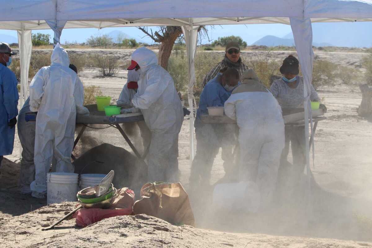 A la espera de autorización de la Fiscalía, el colectivo prevé realizar la jornada en Lerdo.| Roberto Amaya.
