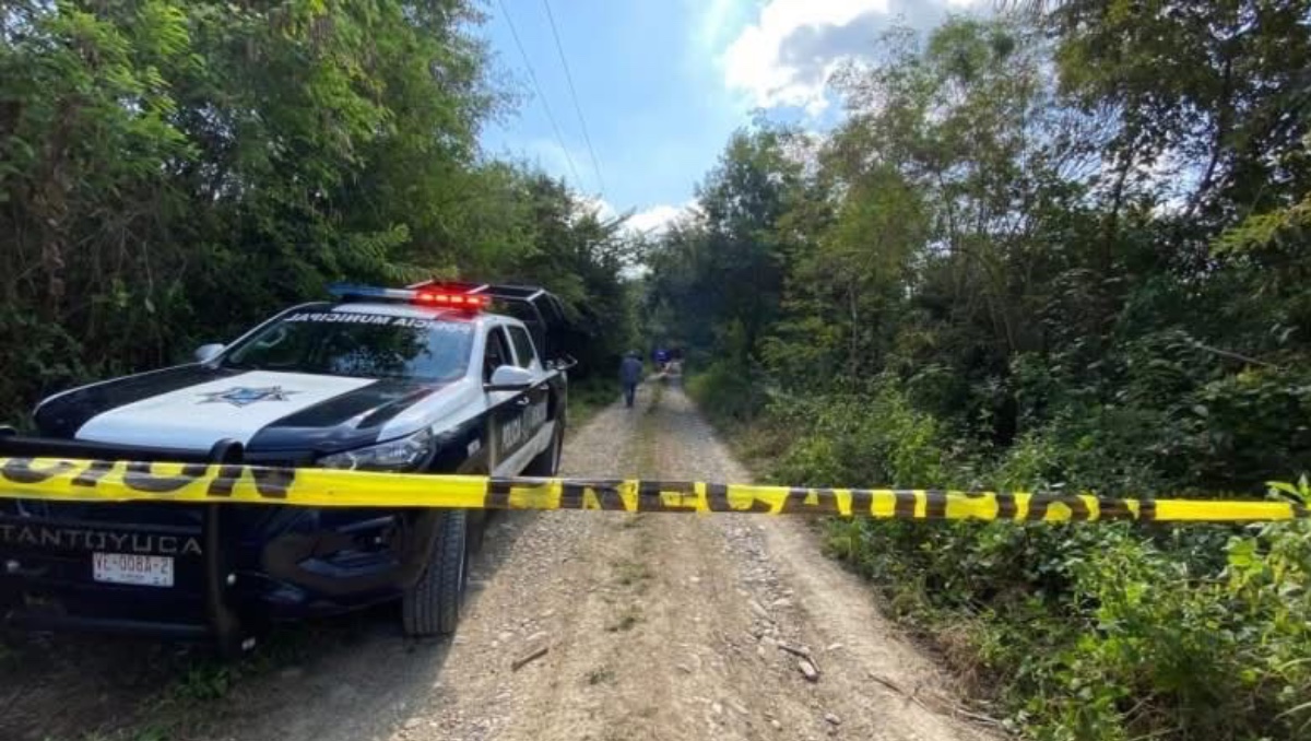 Hallan a 4 personas muertas en distintos municipios de Veracruz. | Especial