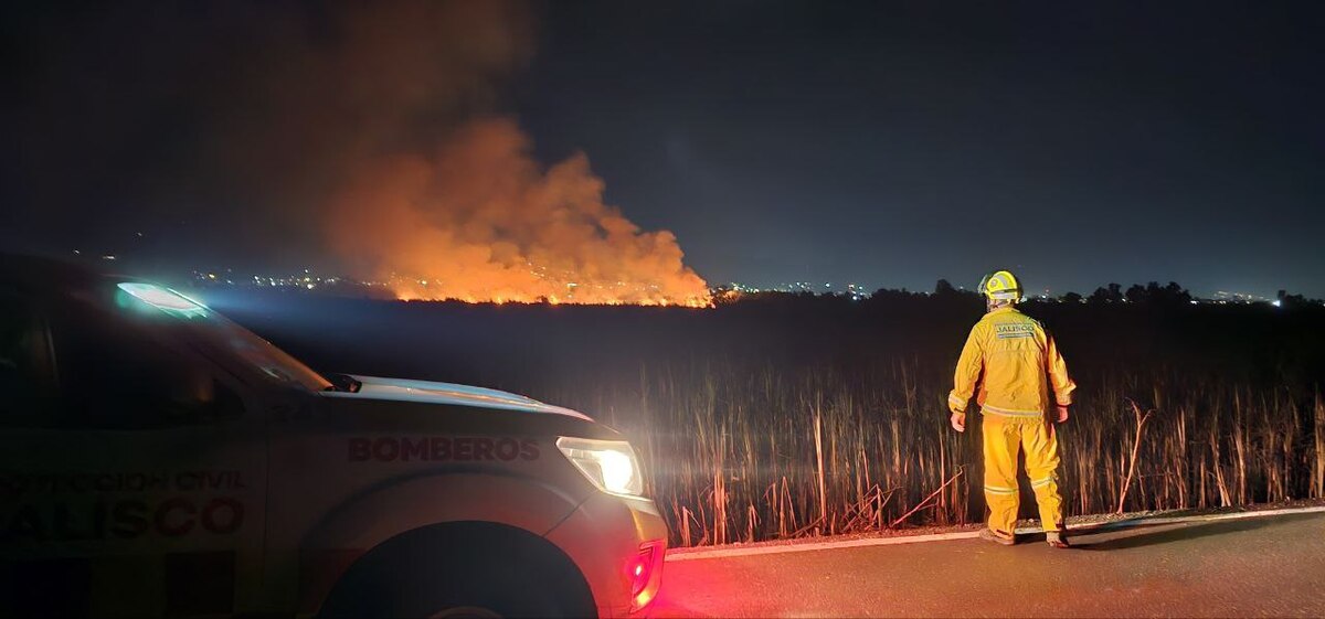 El incendio se registra en las inmediaciones de la Laguna de Zapotlán. (Cortesía)