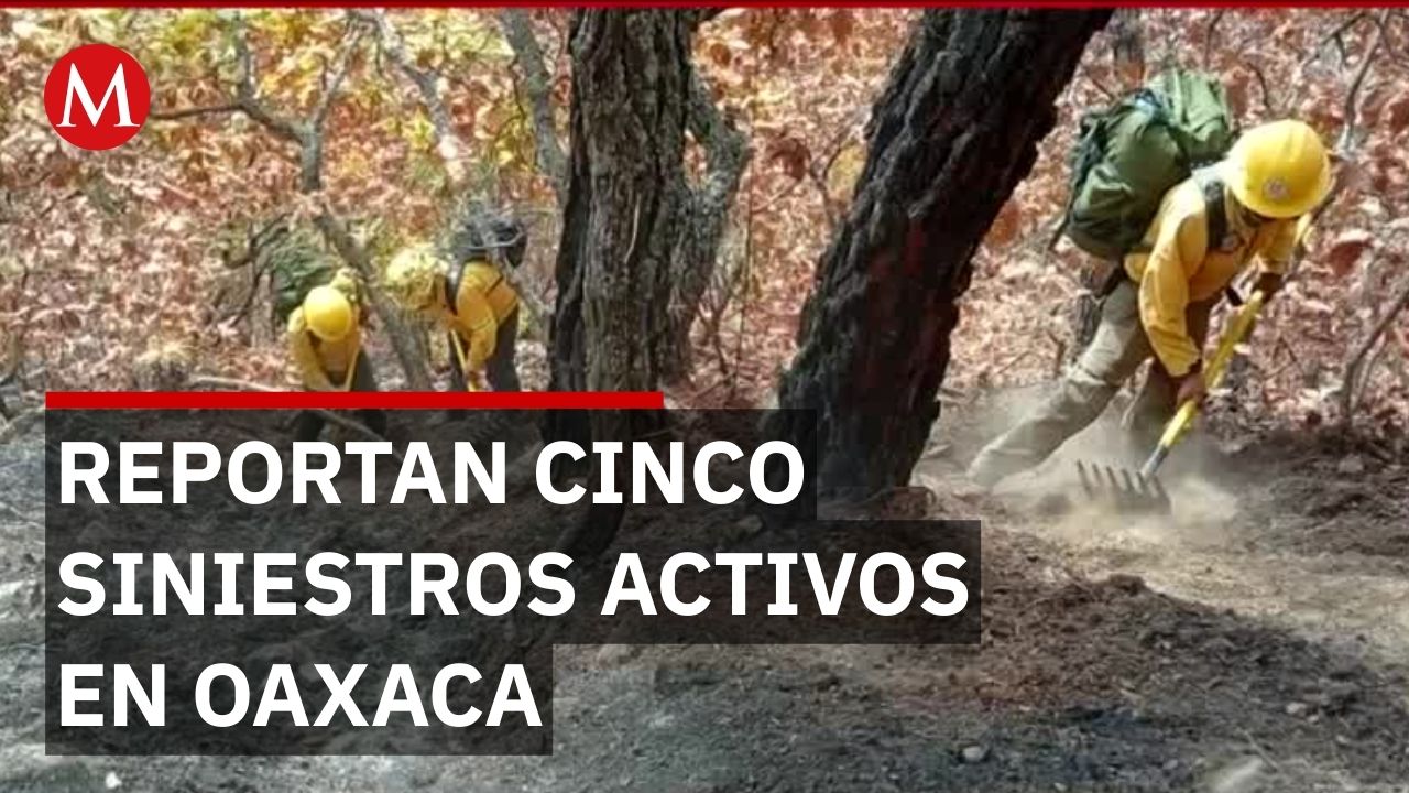 Incendios en Oaxaca: Brigadistas luchan contra el fuego en la Sierra