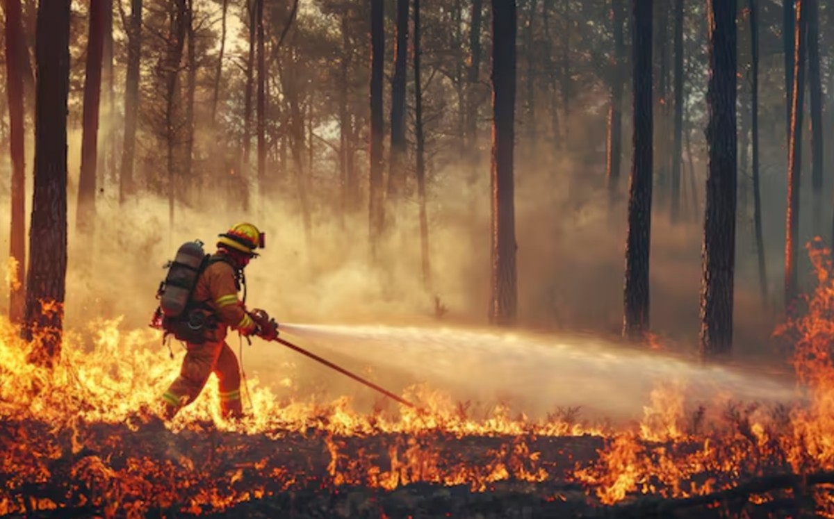 Si una persona observa humo o llamas en zonas naturales, debe reportarlo de inmediato al número de emergencias 911. | Freepik