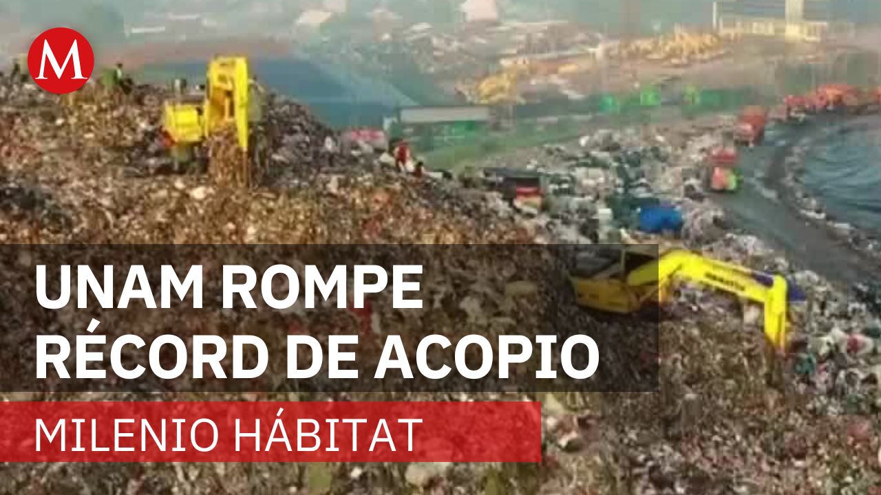 ¡UNAM rompe récord! Juntan 86 toneladas de residuos | Milenio Hábitat