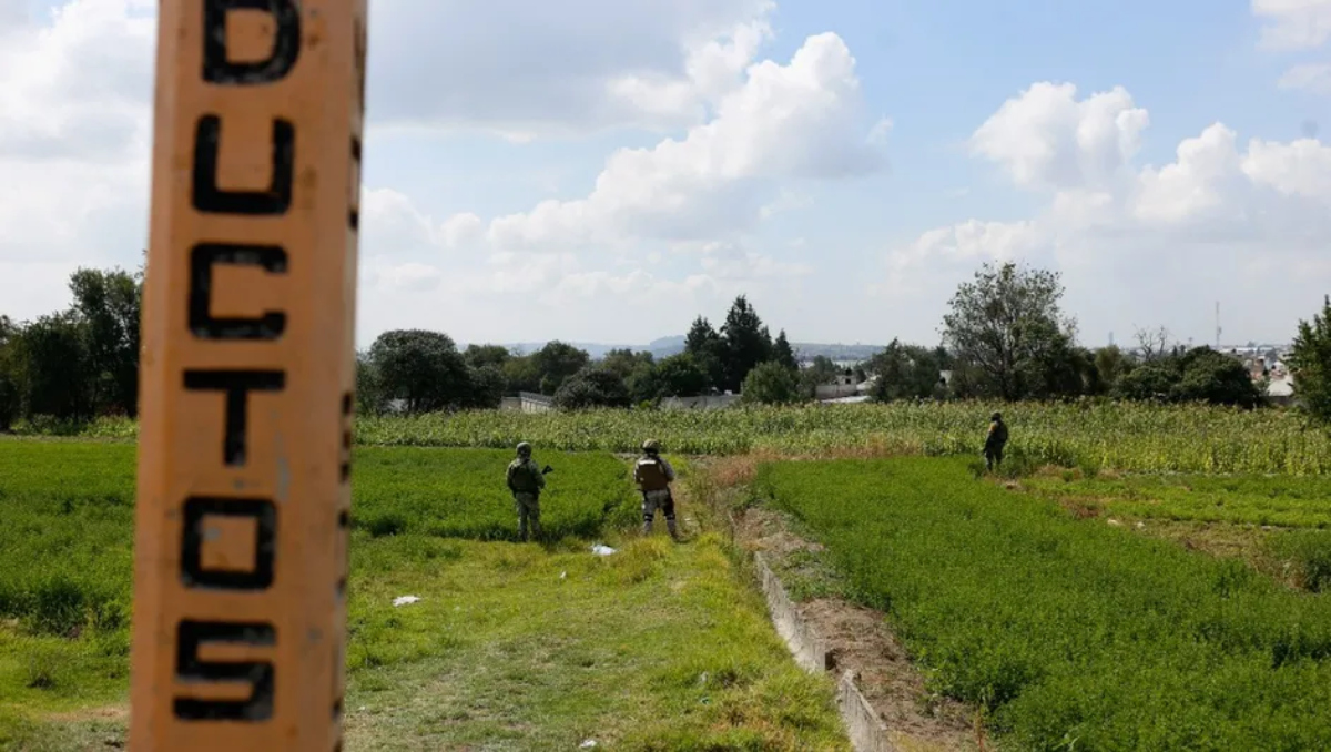 Localizan 27 tomas de huachicol en Sierra Norte de Puebla | Especial (Archivo)