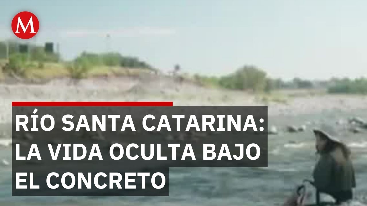 Fuimos Mar somos Río: El documental que revela la vida secreta del Río Santa Catarina
