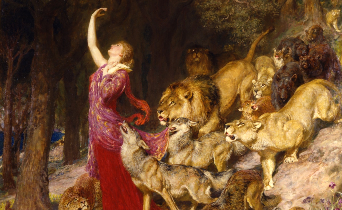 El internet animal: conexión, existencia y supervivencia