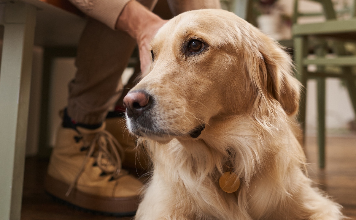 Amor desatado | Un relato de Dorothy Dean Walton