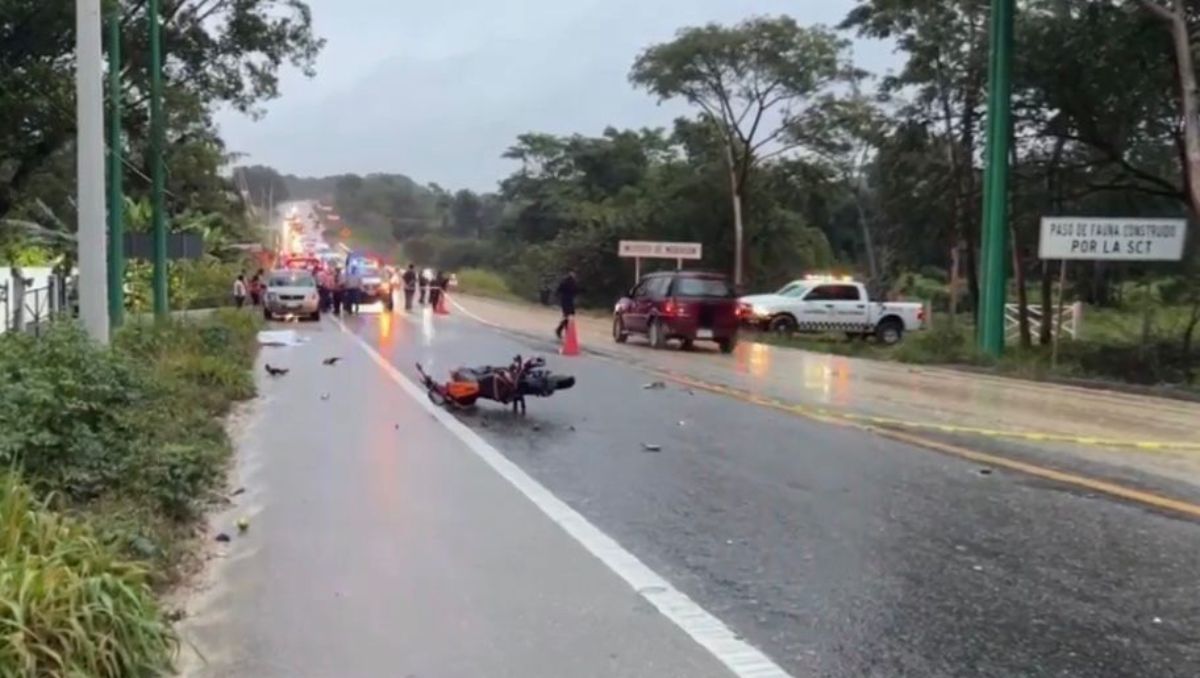 Los hechos se dieron en el en el tramo carretero Palenque-Catazajá. / Especial.