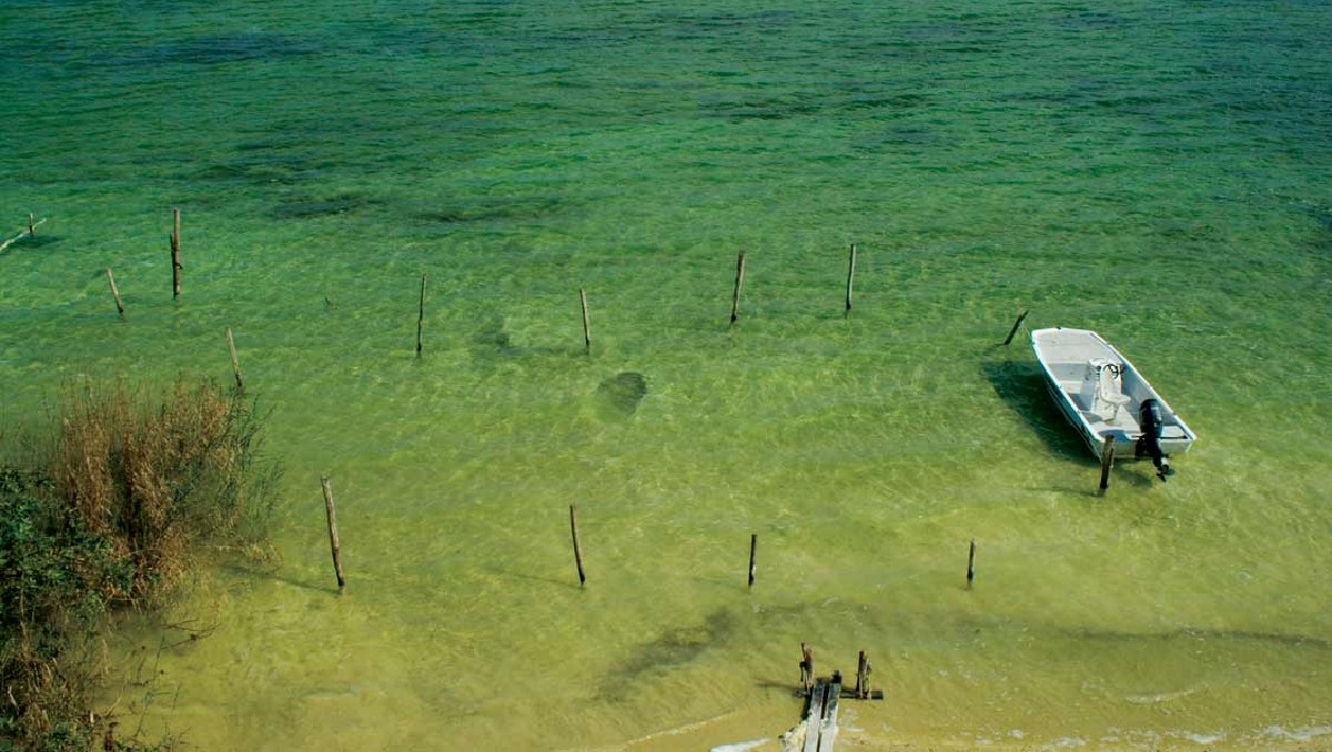 Conoce la reserva de la biosfera Sian Ka'an, un tesoro ecológico en el Caribe mexicano