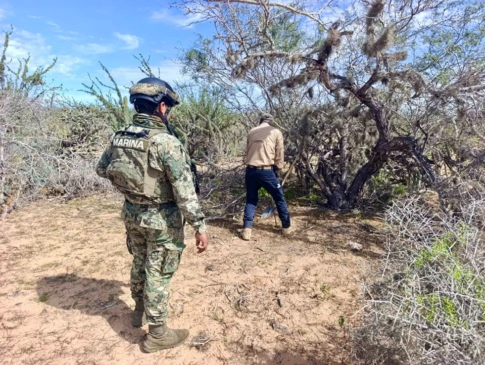 Hallan fosas clandestinas en Baja California Sur. | Foto: Especial