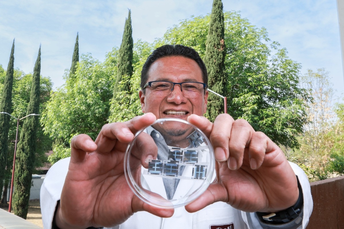 Desarrolla IPN con universidad española celdas solares orgánicas
