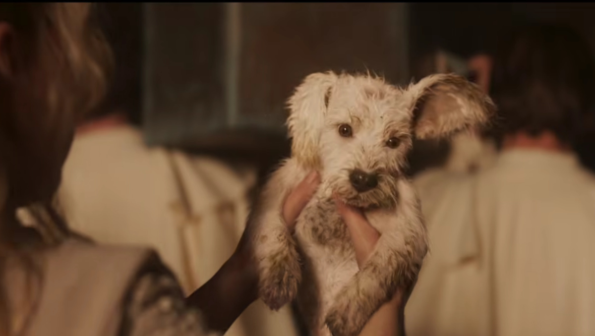 Un Krypto cachorro protagoniza nuevo avance de Supergirl | Especial