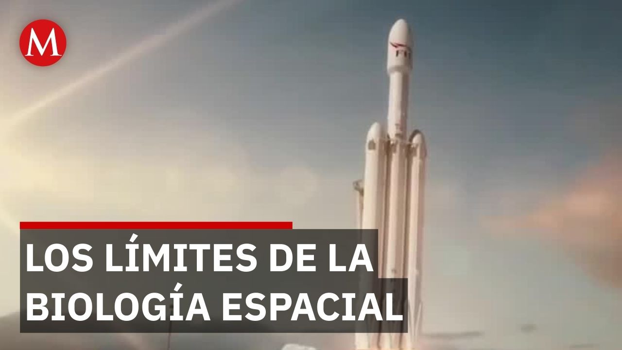 NASA e investigadores estudian los riesgos de la fertilidad en el espacio