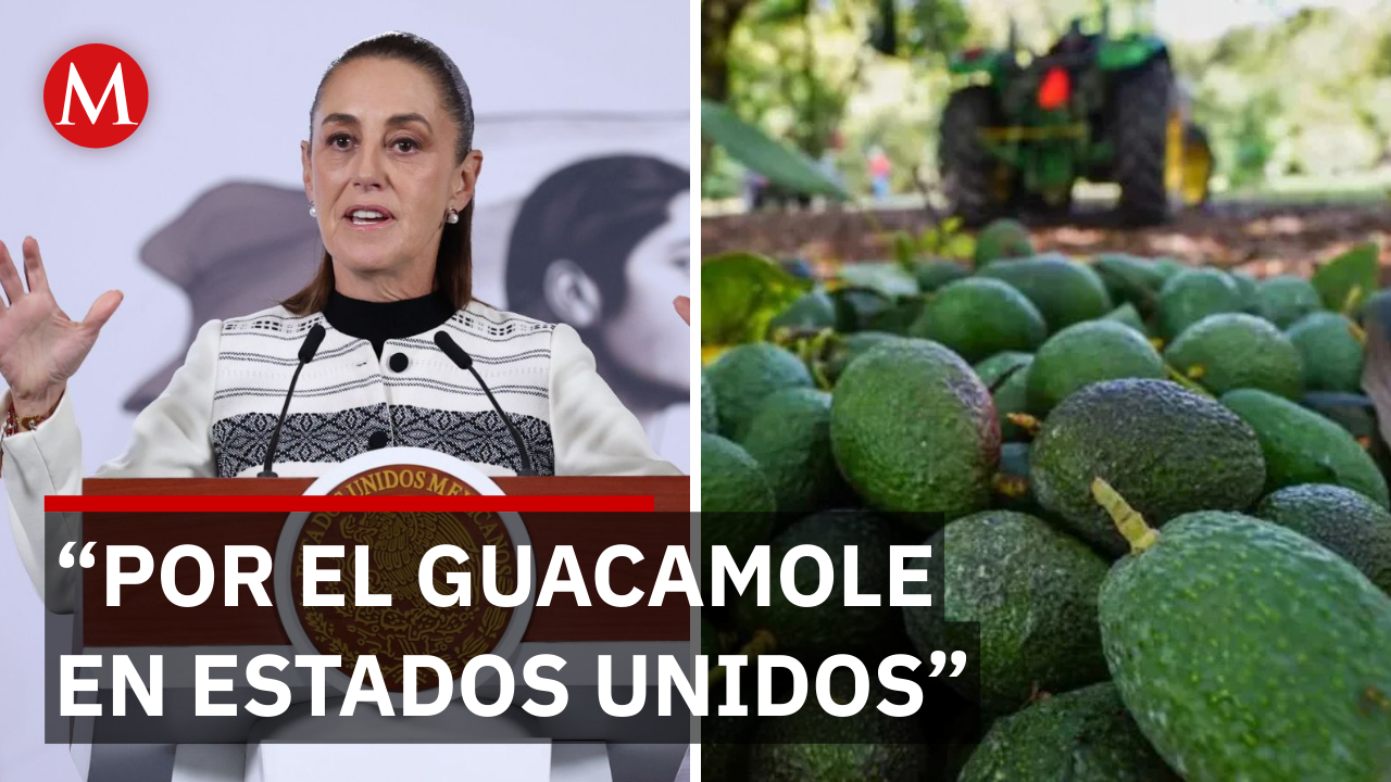 Sheinbaum celebra consumo de aguacte en EU por Super Bowl 2026