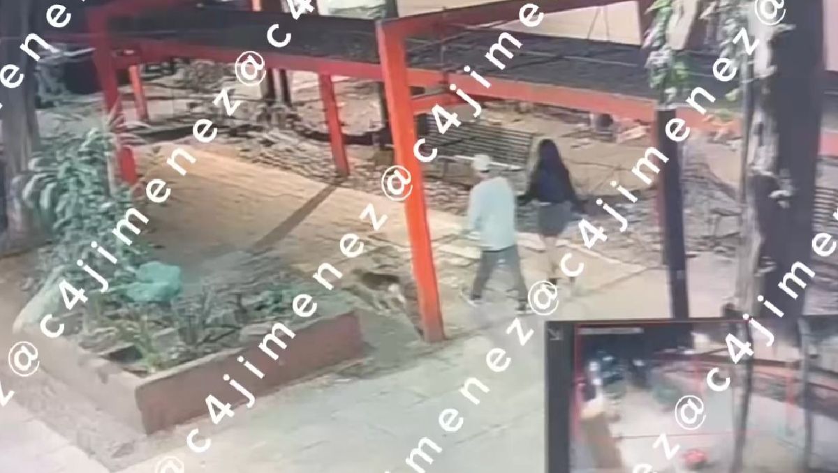 El sospechoso amarró al perro a la jardinera de Tlatelolco. Foto: (Especial)