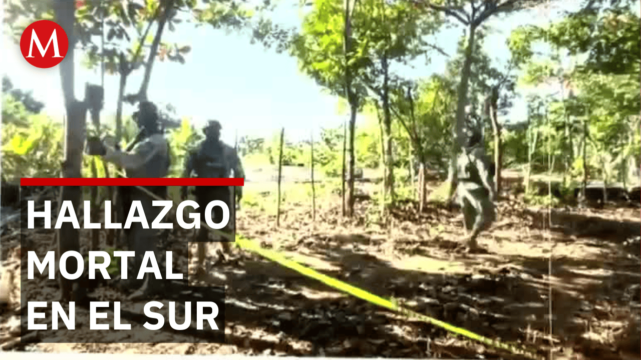 Horror en el sur de Veracruz: Localizan fosa clandestina con tres cuerpos