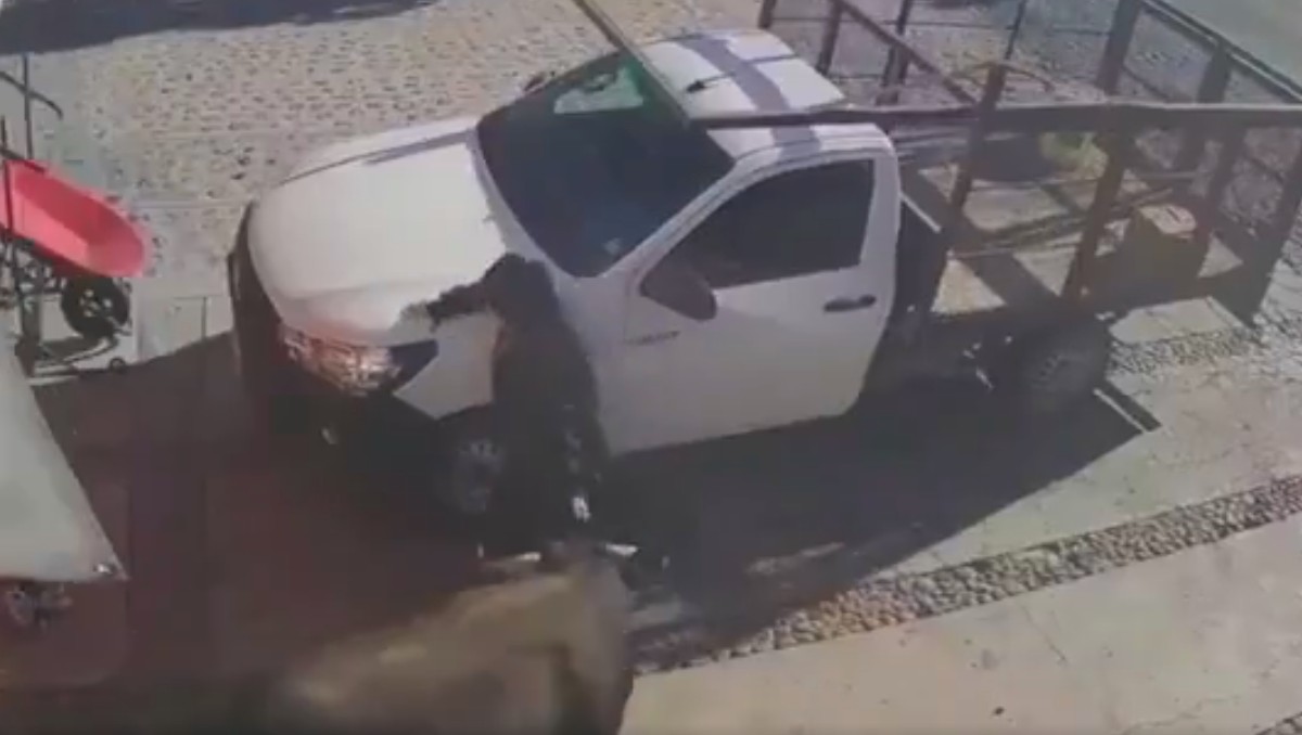 Toro se escapa en Querétaro y embiste a seis personas; una niña de cinco años entre los heridos | VIDEO