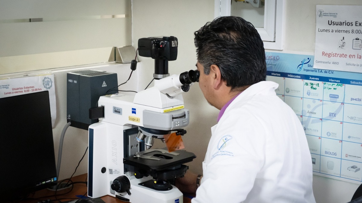 Especialistas llaman a cuidado del hígado; protege al intestino y al cerebro