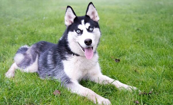 El incidente se registró durante la mañana de este viernes 1 de septiembre, cuando se reportó al número de emergencias 911