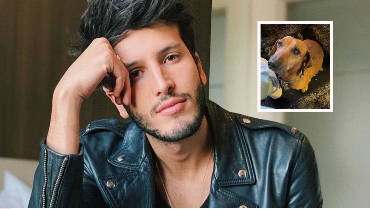 Sebastián Yatra se despide de Rancherito, su perro y fiel compañero, tras su fallecimiento: “Fuiste mi amigo y lo serás para siempre”