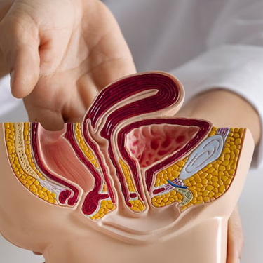 Una tragedia impulsó al Dr. Héctor Reyes a desarrollar un método innovador, accesible y rápido para detectar resistencia a tratamientos en pacientes con cáncer