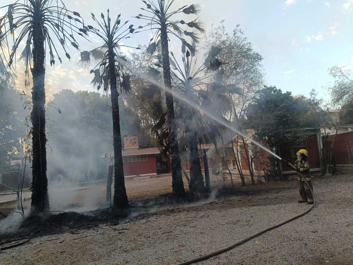 Primaria Otilio Montaño. | Especial