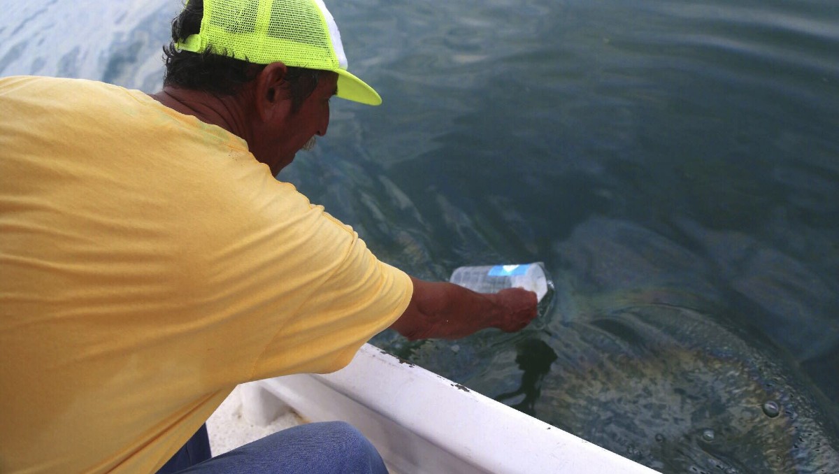 La situación comenzó a atenderse desde el martes 3 de marzo, declararon autoridades. | Cuartoscuro